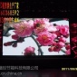 供应曾都区大剧院LED彩色屏，彩色系列LED显示屏折扣价