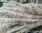 3V 4.5V 5V 6V 3mm 5mm工艺品 礼品 玩具LED发光灯带灯条