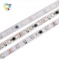 UCS1903 LED智能像素灯条 12V 5050RGB 幻彩灯带 支持定制