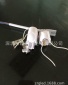深圳供应led日光灯堵头T5T8一体化灯头/t5大一体化灯头实芯针