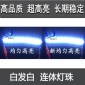 厂家白灯透明白led灯珠led连体灯电子灯箱连体灯led电子灯箱