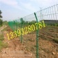 公路旁边侵塑护栏网 铁路护栏网 圈山防护拦 河北卓能丝网报价