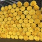 【格信】保温玻璃棉 玻璃棉卷毡 A级玻璃棉板价格 玻璃丝棉卷毡 批发价格 欢迎来电