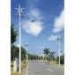 龙泽鑫太阳能风光互补龙泽鑫lzzm0324 路灯 太阳能路灯