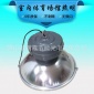 厂家室内体育场馆**灯专业生产低频无极灯灯管电器生产厂家