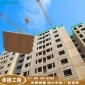 混凝土构件 混凝土户内楼梯 预制钢筋混凝土楼梯 装配式楼梯