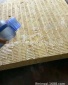 河北厂家 外墙岩棉板 憎水岩棉板 钢结构彩钢岩棉 板岩棉裁条板