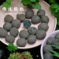 湖南长沙园艺花卉陶粒厂家选择安徽淮南恒运陶粒价格好