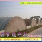 河南特色：绿色蔬菜大棚骨架 **蔬菜大棚支架 绿色**蔬菜大棚