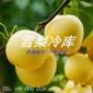 雪梨冷库小型冷库蔬菜水果冷库食品肉类海鲜冷藏冷冻库定制冷库