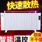 厂家 碳纤维电暖器 家用节能取暖器 电暖气壁挂式
