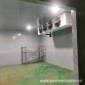 速冻库厂家 四川智能速冻库 鲜肉冷藏库 冷库制冷设备