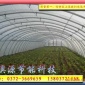 大棚骨架|钢管镀塑大棚骨架|新型无支柱大棚骨架机 供应