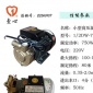 一心750W高压漩涡泵锅炉蒸汽发生器给水泵补水泵增压农田园林灌溉